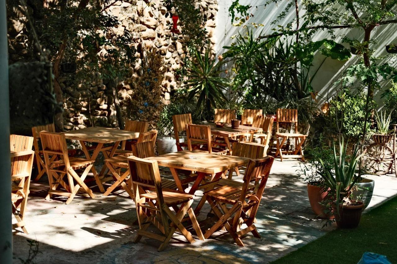 Leveli Coliving Hostel Guadalajara Exterior photo